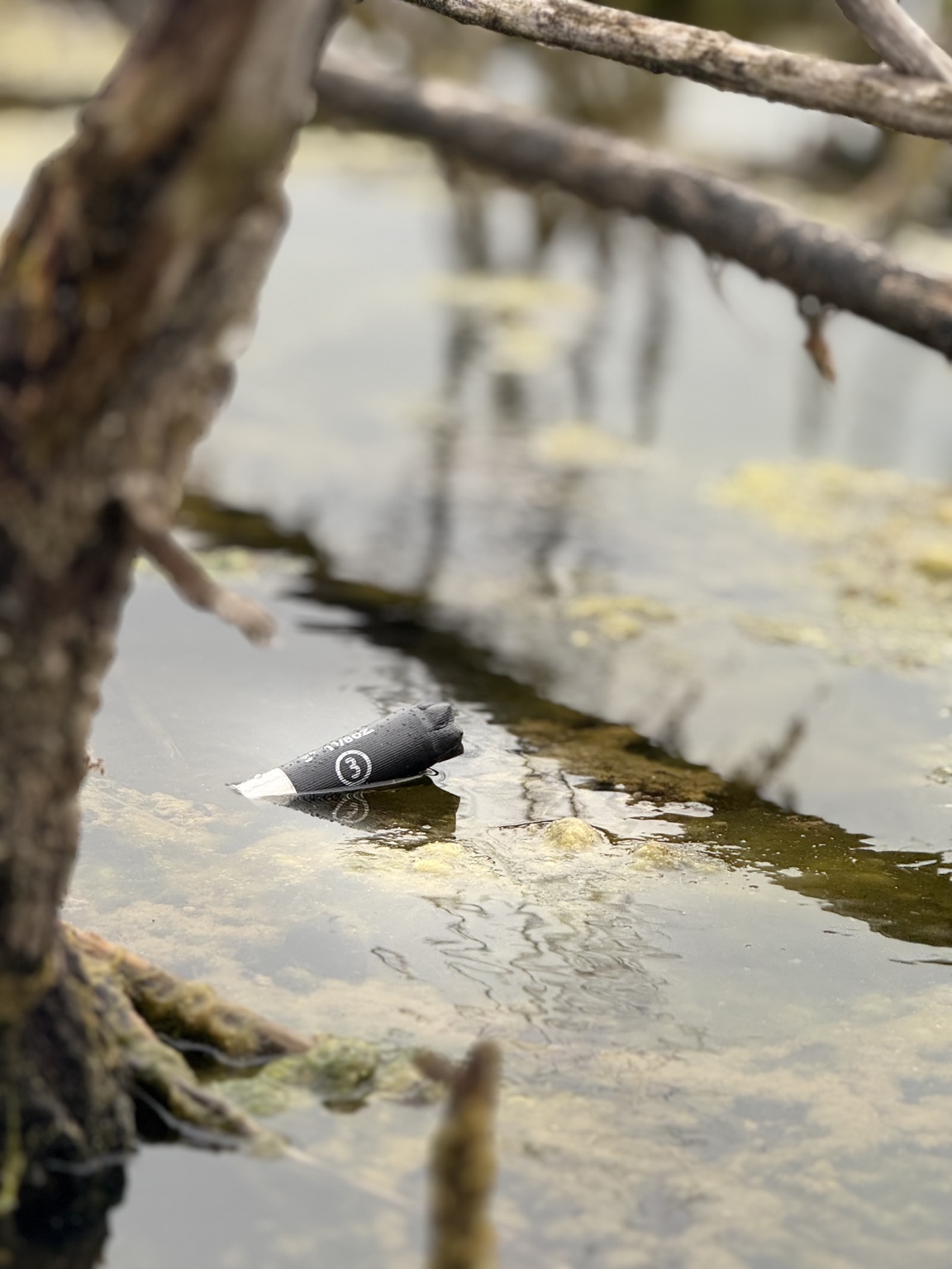 Tight portrait of a field detail resting in shallow water