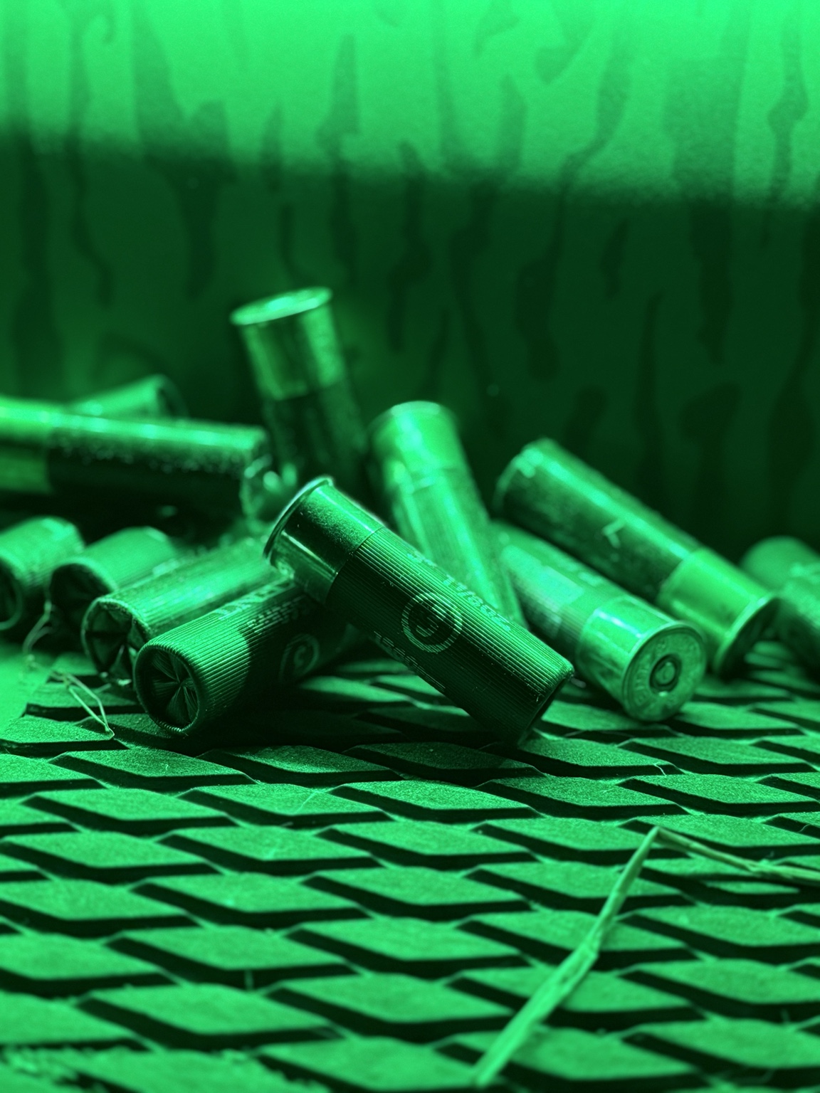 Waterfowl hunting shells under green light before dawn